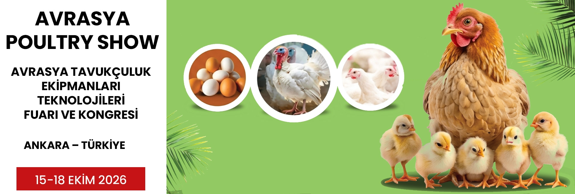 Avrasya poultry fair 2026 resim